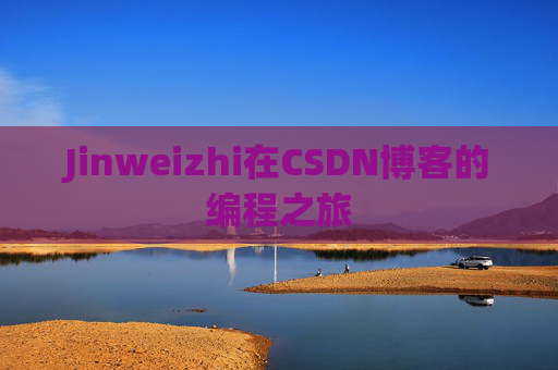 Jinweizhi在CSDN博客的编程之旅